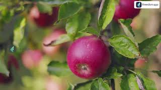 Apple Farming Course Trailer in Malayalam | ffreedom app screenshot 5