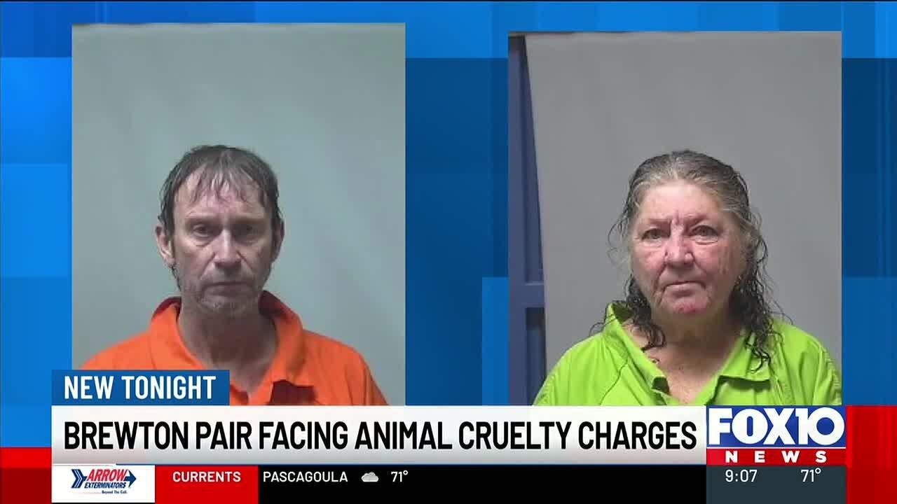 Two charged with multiple animal cruelty charges after 6 dogs die in ...