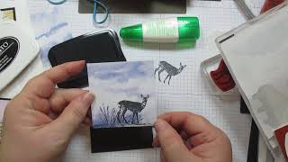 New Horizons Designer Series Paper Simple Cards