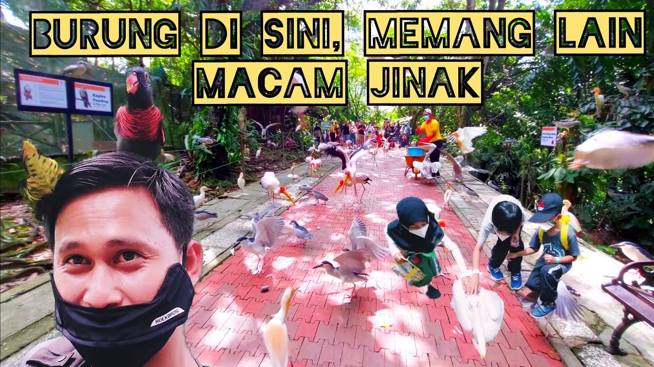 DESTINASI WAJIB KELUARGA: KL BIRD PARK @ TAMAN BURUNG KUALA LUMPUR 2022