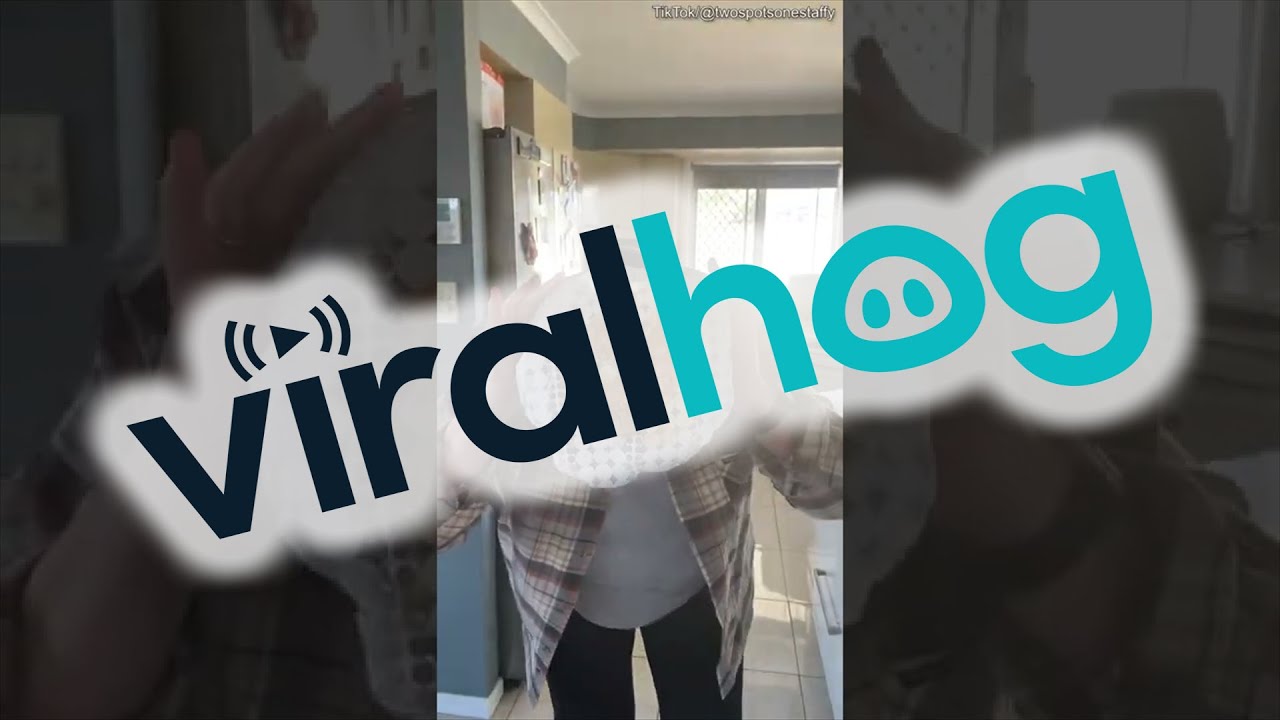 Woman Uses Peanut Butter on Shower Cap to Clip Dog's Nails ViralHog