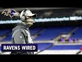 Coach Harbaugh Mic'd Up for Ravens Win Vs. Jaguars | Ravens Wired