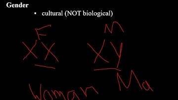 Lecture 17,  "Identity: ethnicity, gender, race, nationalism"