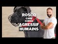 Cane corso agressif humain  chien incompris ep 6