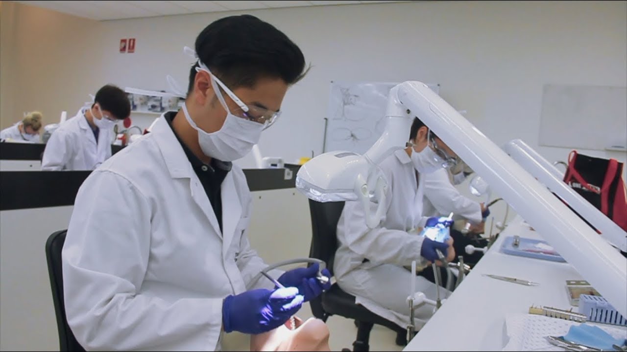 Undergraduate - School of Dentistry - University of Queensland