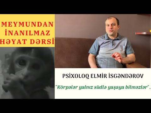 Video: Aşağılayıcı bir təcrübəni necə unutmaq olar (şəkillərlə)