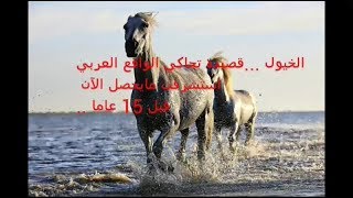 خيول  القصيدة التي استشرفت الواقع العربي قبل 15عام