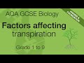 Transpiration in Plants Quiz