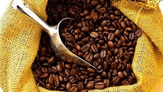 COFFEE PRODUCTION - FIJI COFFEE