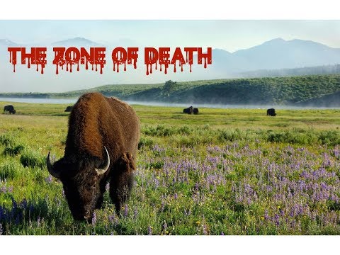 Video: Geopathogenic Zones Or Zones Of Death In The House - Alternative View
