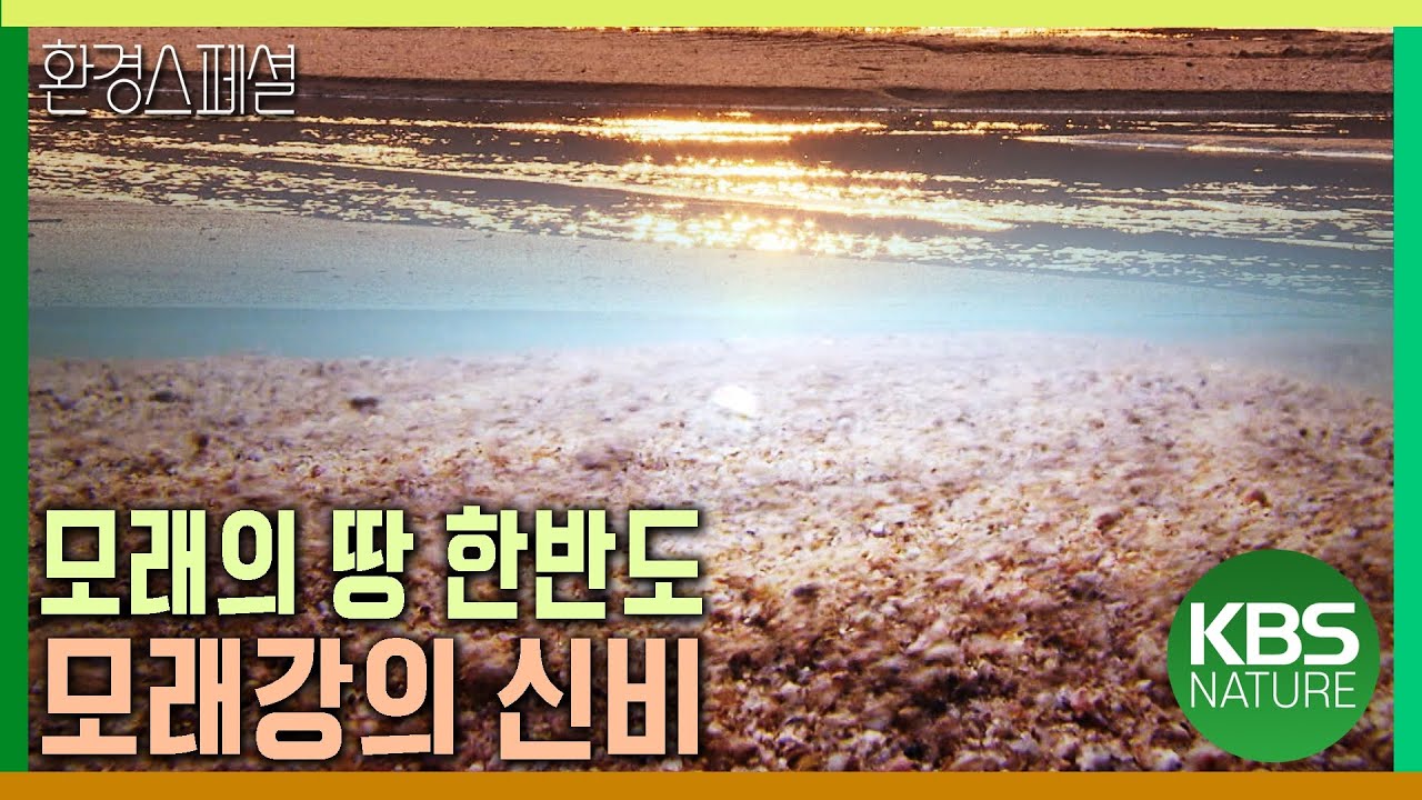 모래의 땅 한반도, 모래강의 신비 [환경스페셜-특집 2부작 강과 생명 1편 모래강의 신비] / KBS 20110810 방송