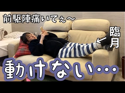 【動けない…】臨月は前駆陣痛が激しいし、眠いし、お腹が重い…