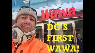 The biggest WAWA in the world!