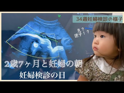【休日モーニングルーティン】また逆子！？34週妊婦検診/2歳7ヶ月/妊娠9ヶ月