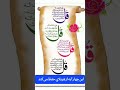 #howtoachievesuccessinlife #hasad Nazar sa hifzat#jadoo sa hifazat#jinnat sa hifazat