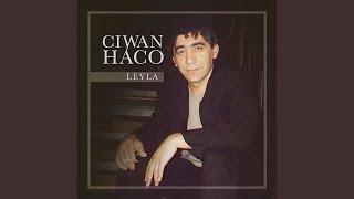 Leyla - Ciwan Haco