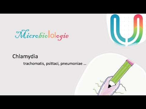 Urgences -  MicrobioLOLogie  - Chlamydiae trachomatis, psittaci, pneumoniae