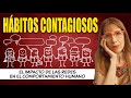 Hbitos contagiosos el impacto de las redes de amigos en el comportamiento humano