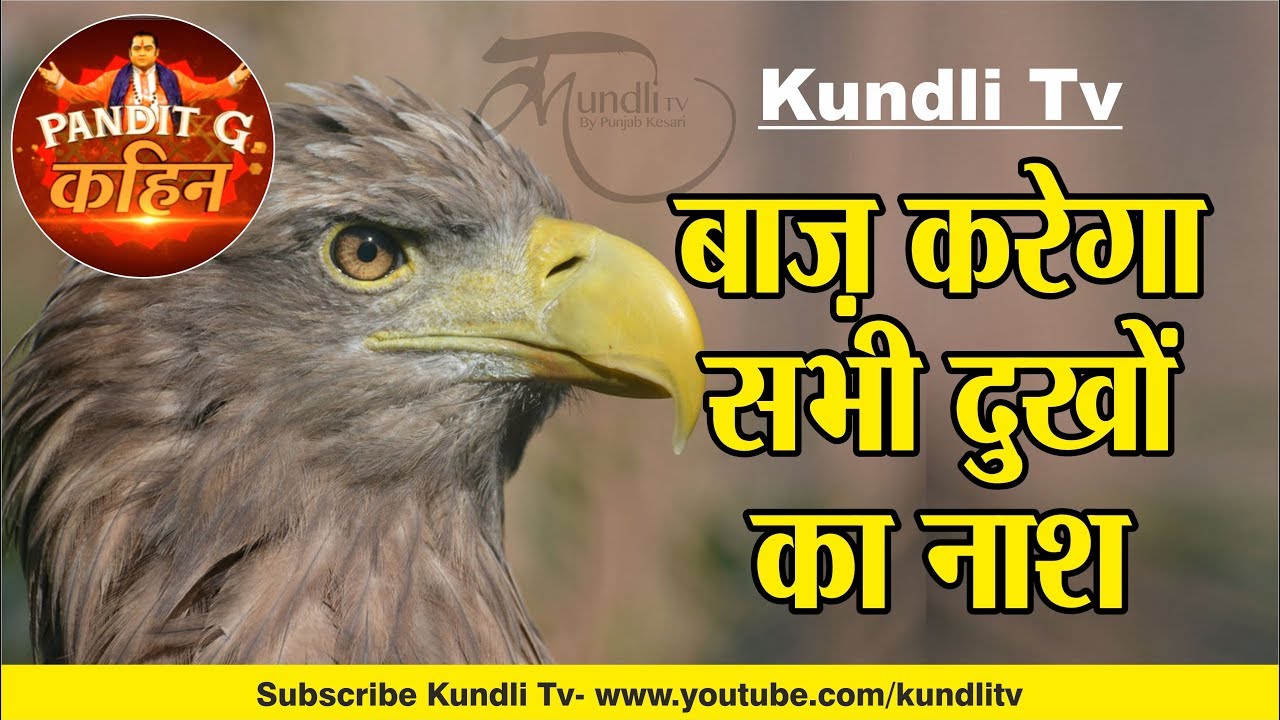 à¤¬ à¤ à¤à¤° à¤ à¤¸à¤­ à¤¦ à¤ à¤ à¤¨ à¤¶ i 5th episode i pandit g kahin i kundli tv youtube à¤¬ à¤ à¤à¤° à¤ à¤¸à¤­ à¤¦ à¤ à¤ à¤¨ à¤¶ i 5th episode i pandit g kahin i kundli tv