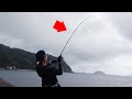最後の最後についにやりました・・・！自然豊かな鹿児島の海が凄すぎる【九州旅③】