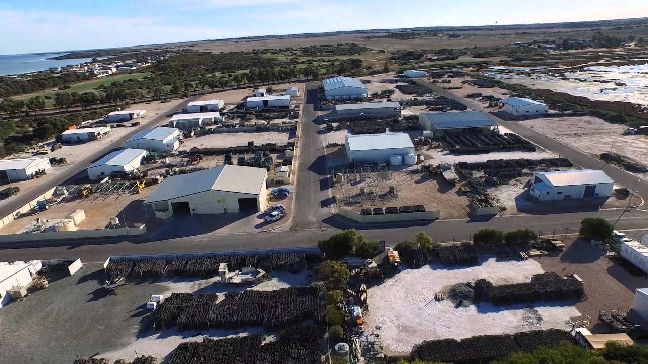 Smoky Bay South Australia YouTube