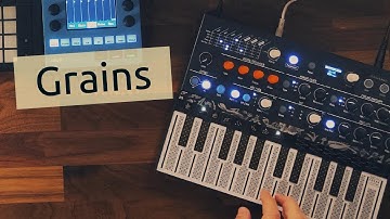 Microfreak, NTS-1 & Volca Keys - Grains