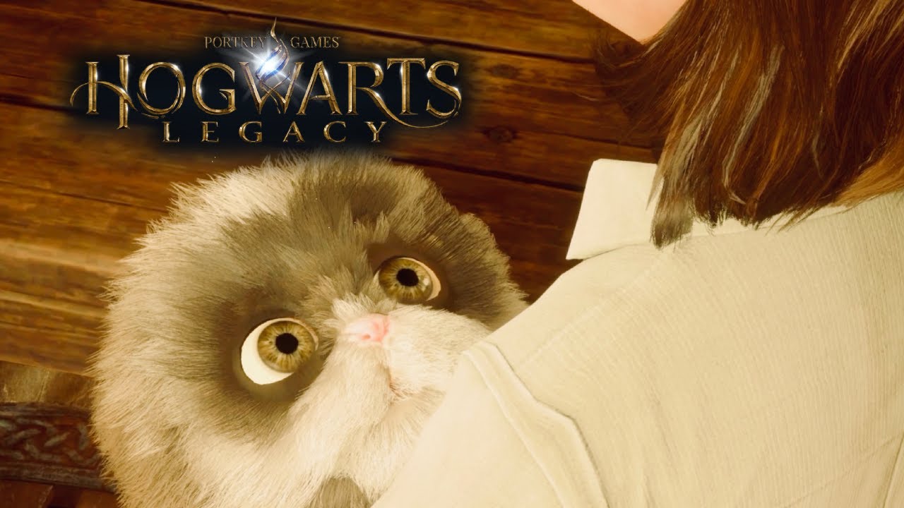 Hogwarts Legacy – Beast Class (Full Side Quest | Poppy Sweeting Friendship Questline)