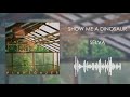 Show Me a Dinosaur - Selva