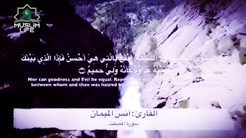 تلاوة من سورة فصلت بصوت خاشع وجميل ( إِنَّ الَّذِينَ قَالُوا رَبُّنَا اللَّهُ ثُمَّ اسْتَقَامُوا )