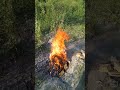 Relaxing Fire with Burning Logs and Crackling Fire Sounds for Stress Relief 4K UHD