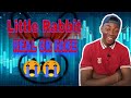 The Truth About Little Rabbit (fake /real)