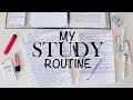 MY STUDY ROUTINE - study routine of a law student