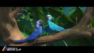 Rio Movie Clip 25 2011 Hd