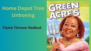 26-066 — Home Depot Tree Unboxing — Flame Thrower Redbud — #Redbud #Tree #Flame Thrower