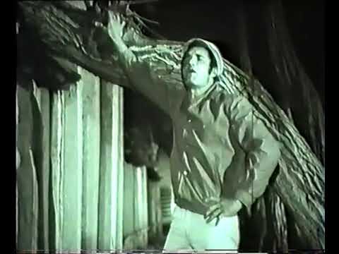 چه دل پری داره آقا رضا حال هوای این روزای ایران رو انگار میگه فیلم پهلوان در قرن اتم