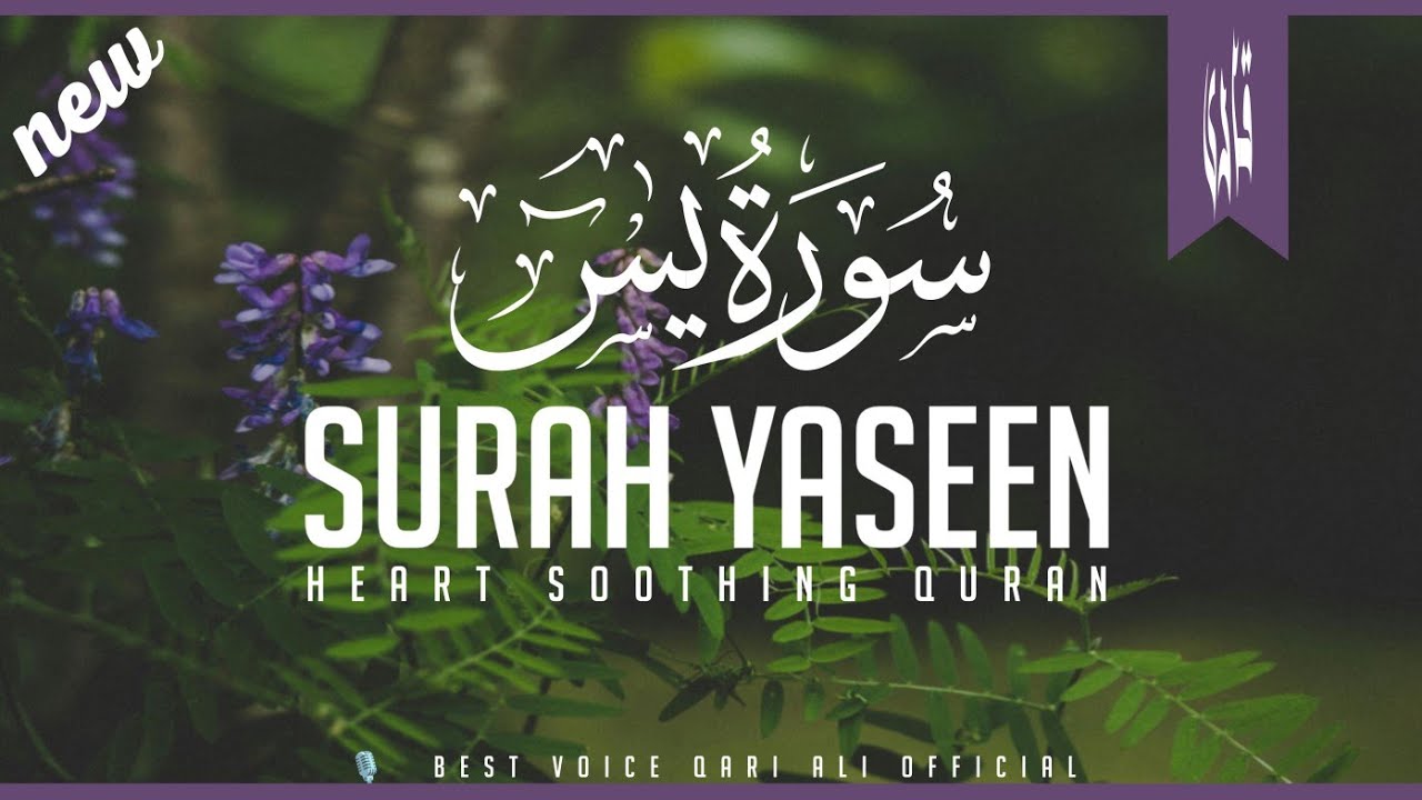 Surah Yaseen  سورۃ یس | Soothing & Beautiful Recitation for Inner Peace By Qari Ali official 