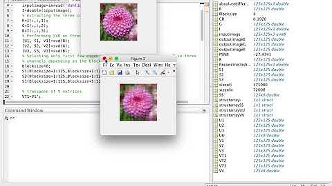 Image compression using SVD(colour image) using MATLAB