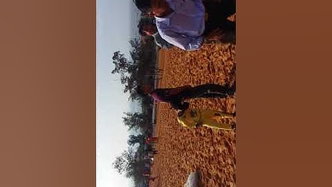 Bãi cát vàng tai Phan Thiết