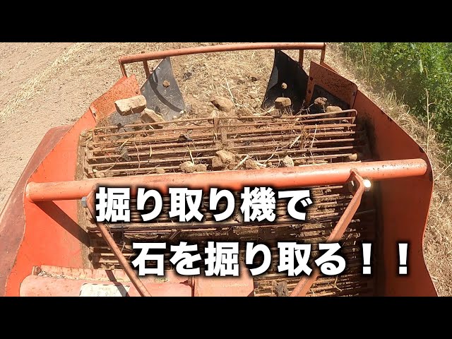 秋じゃが圃場の石退治！！2023.9.9#1361 - YouTube