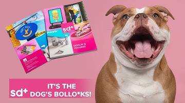 SD+ New Display & Fixtures Guide (a real DOGS BOLL*@ks!)