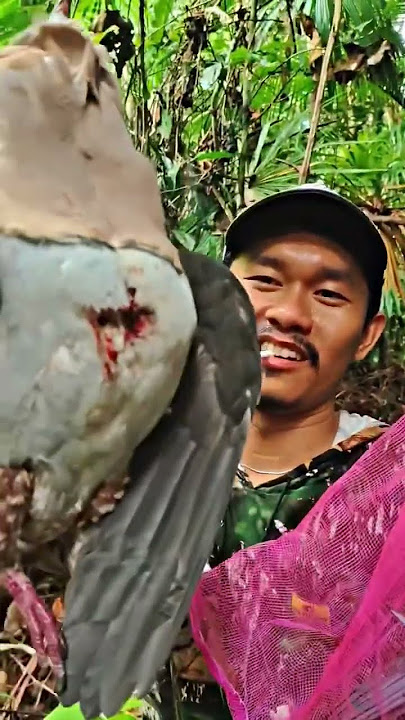 Berburu burung pergam… @akhamadarif2149  #sniperngacak