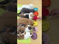 #shorts #short #youtubeshorts #shortsvideo #viral #trending #fyp #foryoupage #viralvideo