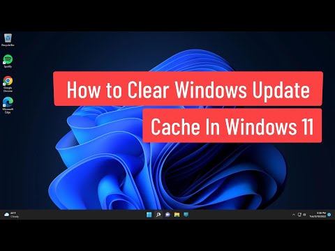How to Clear Windows Update Cache In Windows 11