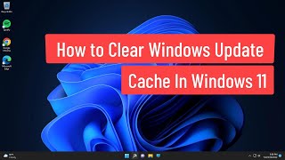 how to clear windows update cache in windows 11