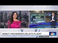Robot passenger delays flight