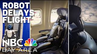Robot passenger delays flight
