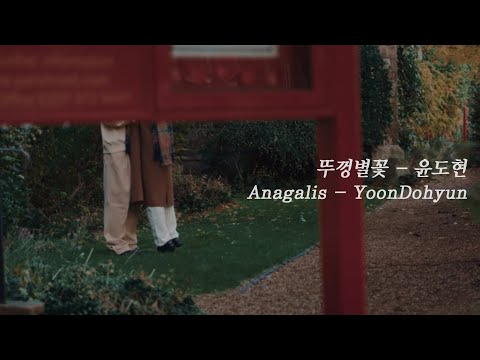 윤도현 - 뚜껑별꽃 Official Lyric Video thumbnail