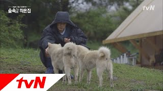 Little House in the Forest 이번에는 친구를 데리고 온 봉이 ♡ #소지섭_봉이앓이중 180525 EP.8