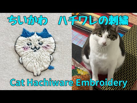 fluffyteddy＊手染めハチワレにゃんこ。 さくら🐱🌸 (=^_^=) おかえり～🐾 #ひねり姫 #猫 #猫部