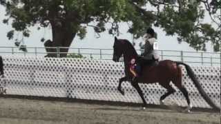 Woodside 2012 smarty2 by barradan1766 103 views 11 years ago 26 seconds